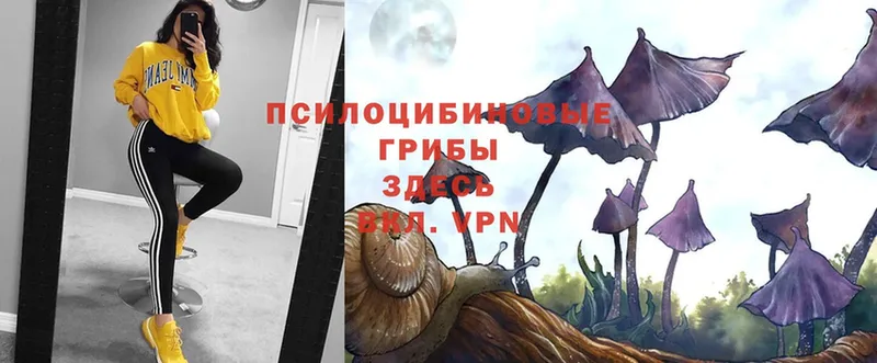 hydra сайт  Зеленогорск  Галлюциногенные грибы Magic Shrooms  купить наркоту 